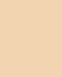Micro-Ringe, Makroaufnahme der Ringe – Blonde