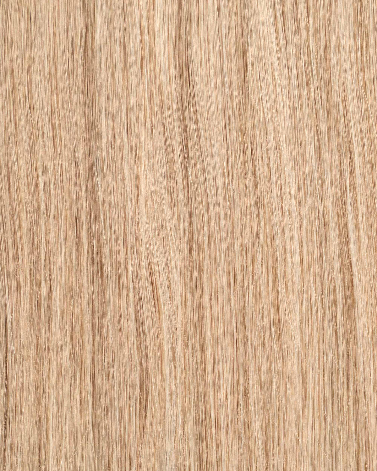 Premium Weft, Makroaufnahme der Farbstruktur – Champagne Blonde