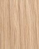 Champagne Blonde