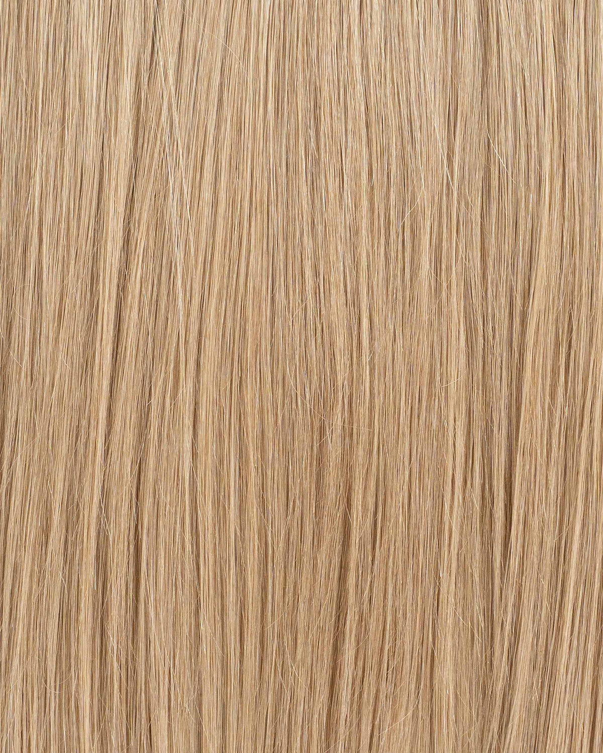Premium Weft, Makroaufnahme der Farbstruktur – Honey Beige Blonde